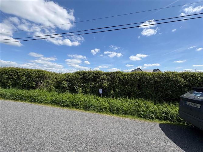 Mahoonagh Beg, Castlemahon, Limerick