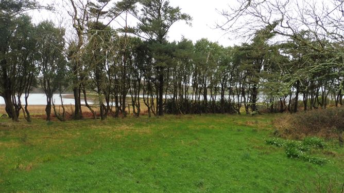 Atlantic View, Cleggan, Galway