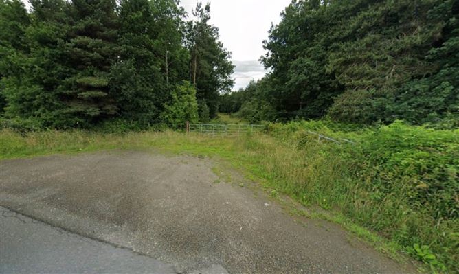 Rosnastraw (C. 35.6 Acres), Tinahely, County Wicklow