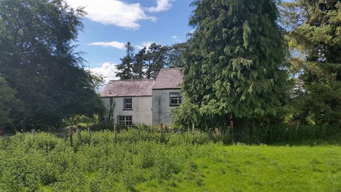 Dowdenstown, Ballymore Eustace, Kildare, Kildare