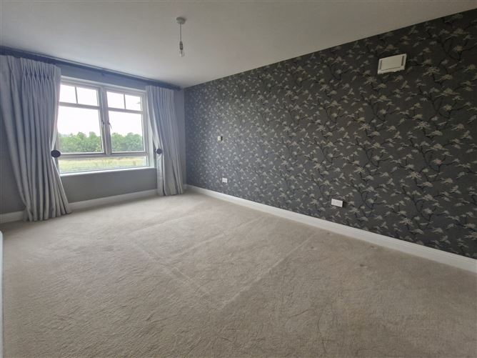 Waver Tree, Kildare Town, Kildare