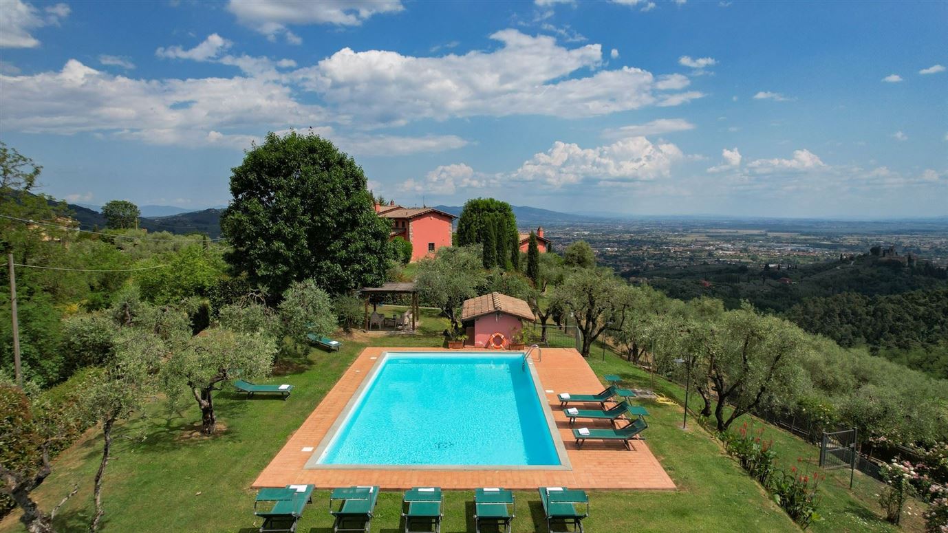 Tuscan Rosette,Buggiano,Tuscany,Italy