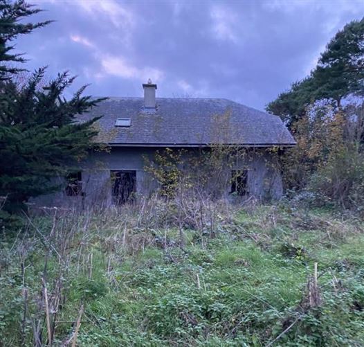 Site & Derelict Property At Newtown, Lusmagh, Banagher, Offaly