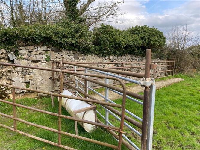 Annamarron, Carrickmacross, Monaghan REA Gunne Property