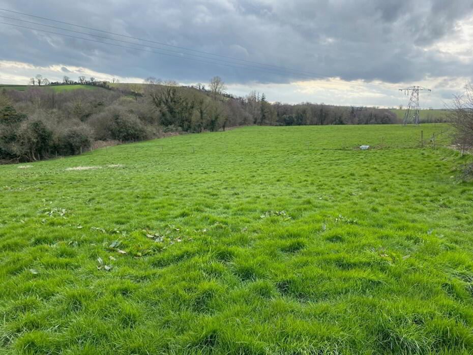 Annamarron, Carrickmacross, Monaghan REA Gunne Property (Carrickmacross) 4691082 MyHome.ie