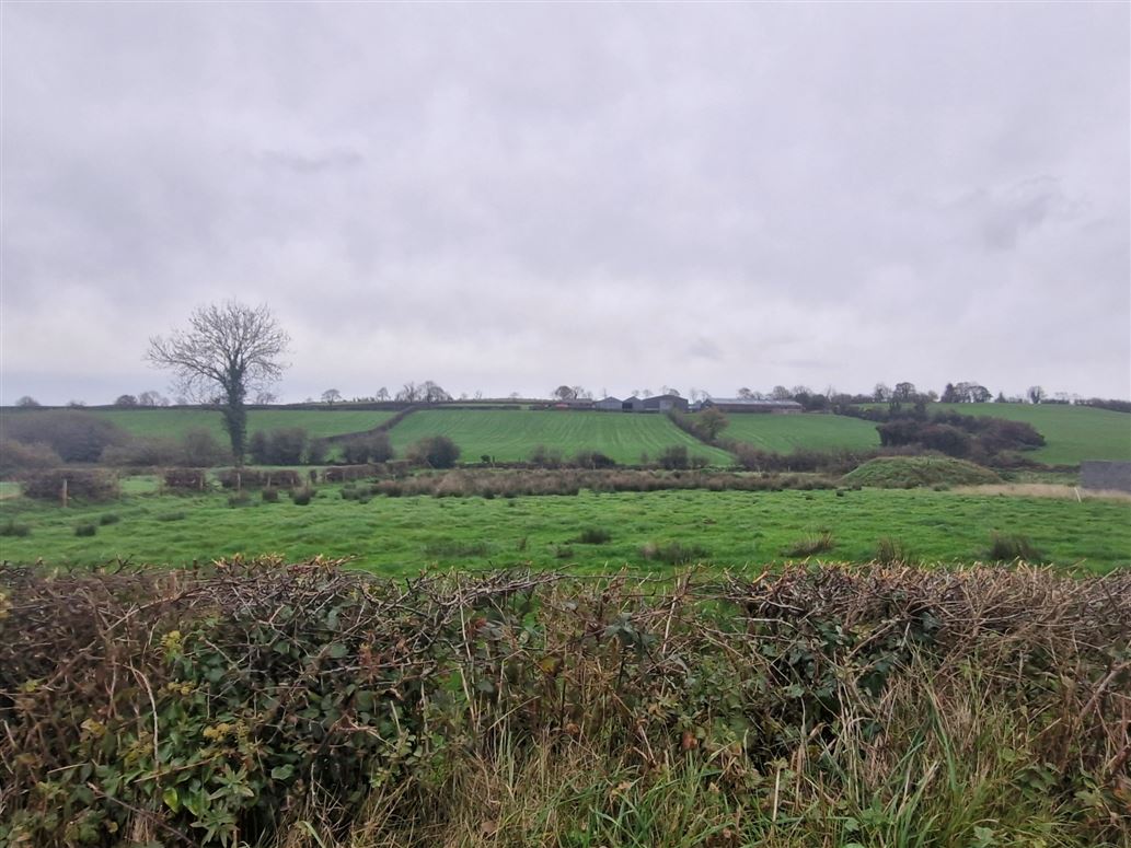 Site For Sale, Crosshugh, Monaghan