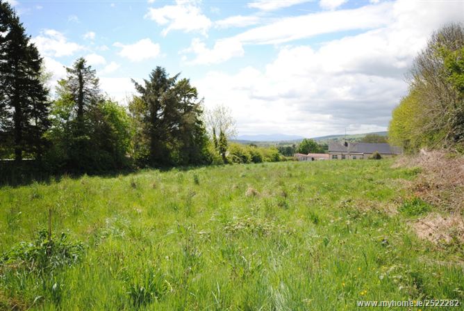 School Road, Tinahely, Wicklow
