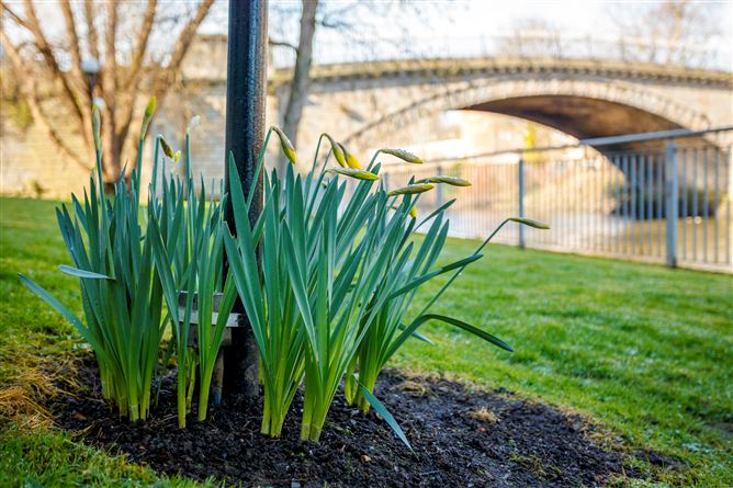5 Riverbank House, Islandbridge,   Dublin 8