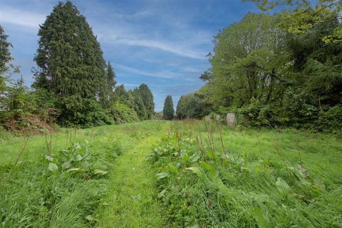 Site At, Lower Grange, Waterford City, Waterford