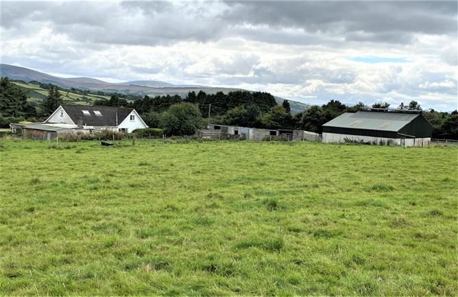 FERN HILL, Tinode, Blessington, Wicklow