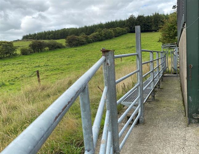 FERN HILL, Tinode, Blessington, Wicklow