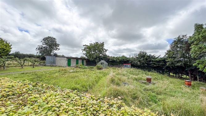 Foxcover, Kirwan's Inch, Dunmore, Co. Kilkenny