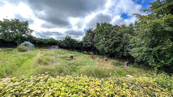 Foxcover, Kirwan's Inch, Dunmore, Co. Kilkenny