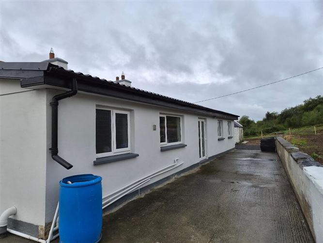 Photo 17 of 23 — Derrindrehid, Aghavas, Leitrim
