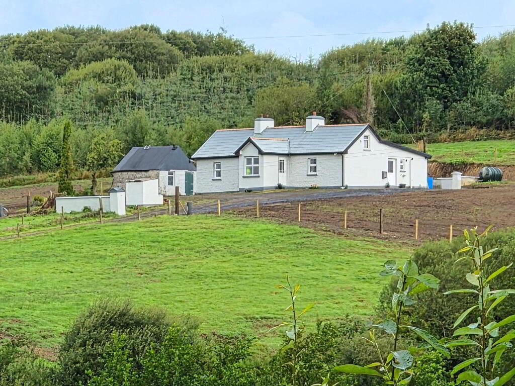 Derrindrehid, Aghavas, Leitrim