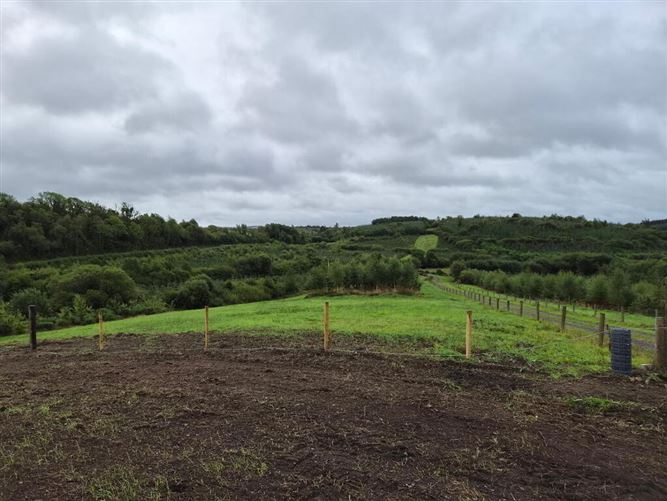 Photo 18 of 23 — Derrindrehid, Aghavas, Leitrim