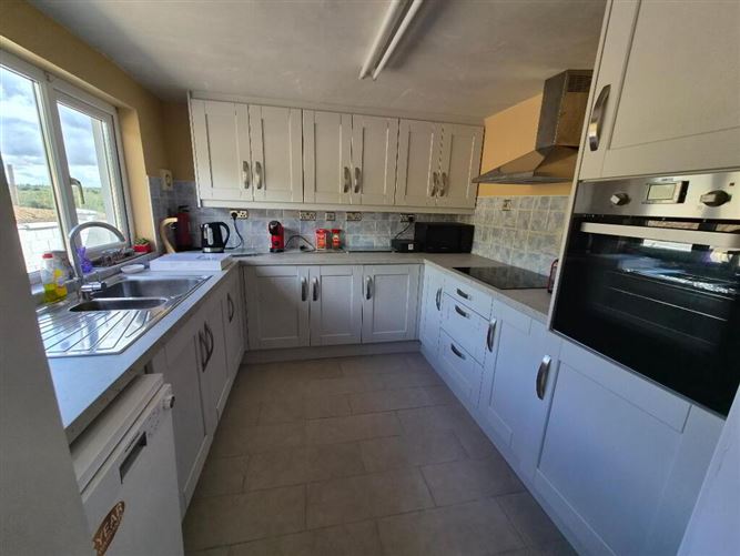 Photo 6 of 23 — Derrindrehid, Aghavas, Leitrim