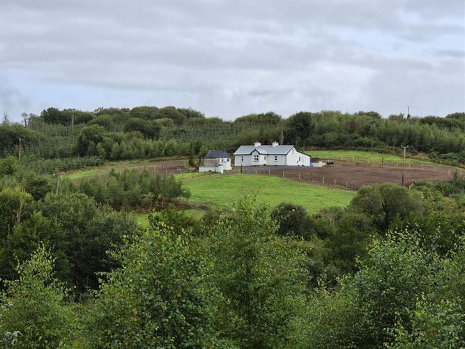 Photo 15 of 23 — Derrindrehid, Aghavas, Leitrim
