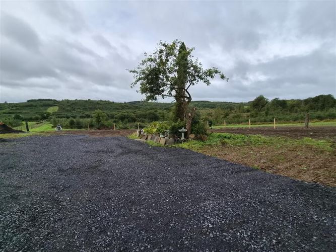 Photo 21 of 23 — Derrindrehid, Aghavas, Leitrim