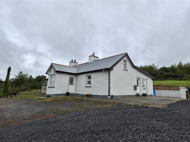 Photo 19 of 23 — Derrindrehid, Aghavas, Leitrim