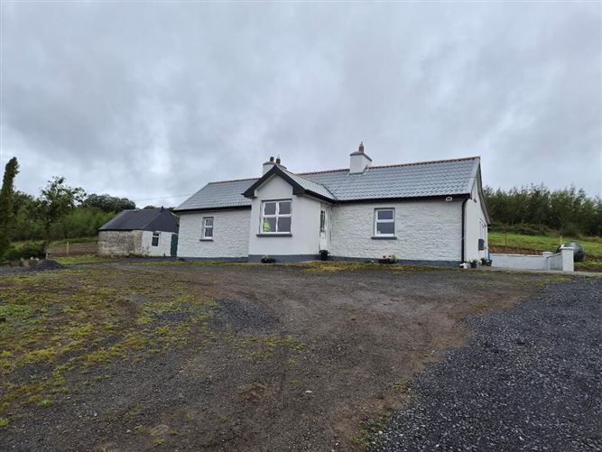 Photo 14 of 23 — Derrindrehid, Aghavas, Leitrim