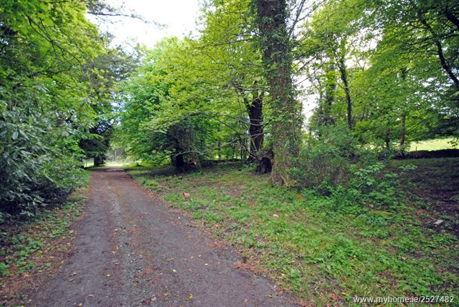 Rockingham House, Tinahely, Wicklow