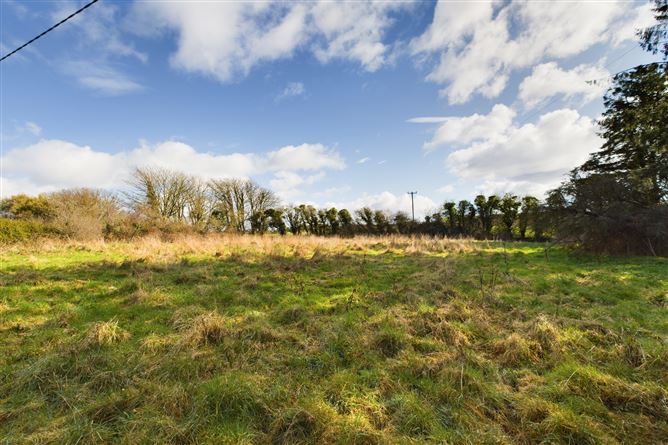 Carriganna, Stradbally, Waterford