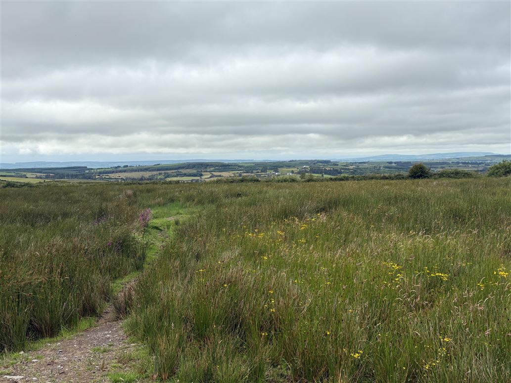 Boolyduff, Inagh, Inagh, Clare