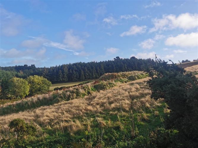 Ballyconnigar Lower, Blackwater, Wexford, Co. Wexford