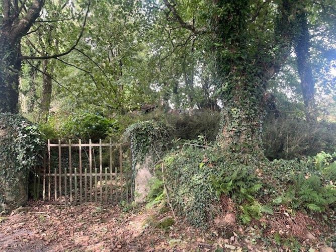 Camross (Site), Foulksmills, Co. Wexford