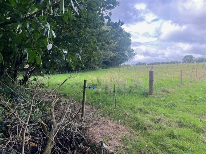 Camross (Site), Foulksmills, Co. Wexford