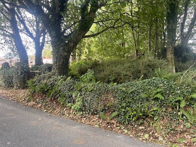 Camross (Site), Foulksmills, Co. Wexford