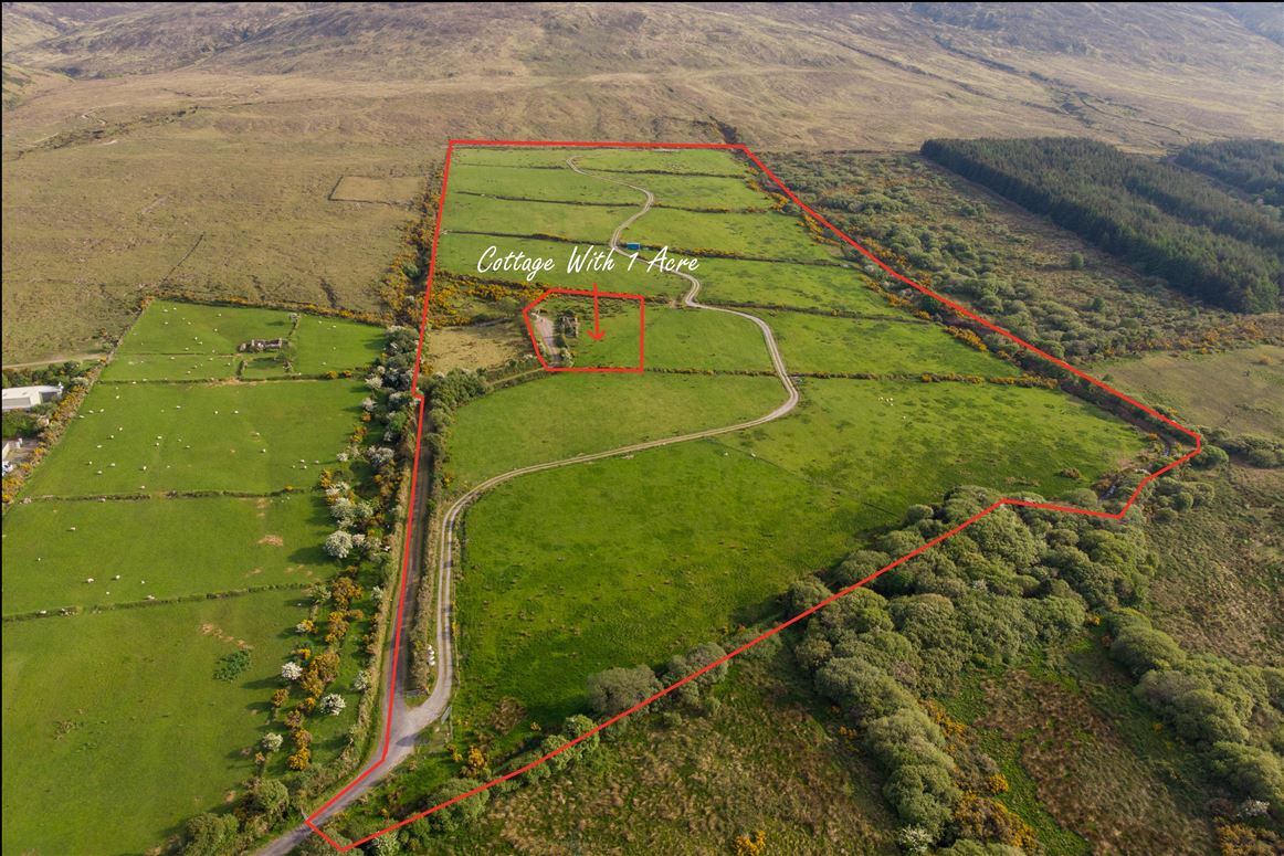 Tonevane, Tralee, Kerry