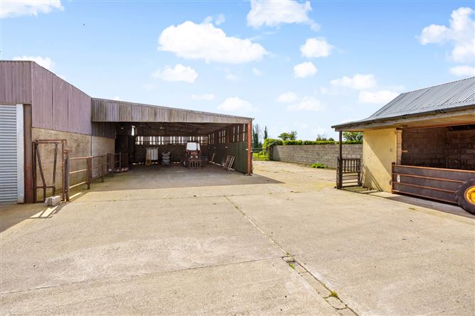 Photo 27 of 36 — House & c6 Acres of Land at Cribbons Lane, Kildare, Rathangan, Co. Kildare
