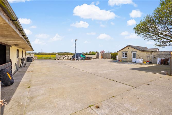 Photo 29 of 36 — House & c6 Acres of Land at Cribbons Lane, Kildare, Rathangan, Co. Kildare