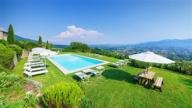 Like A Fine Merlot,Ciciana,Tuscany,Italy