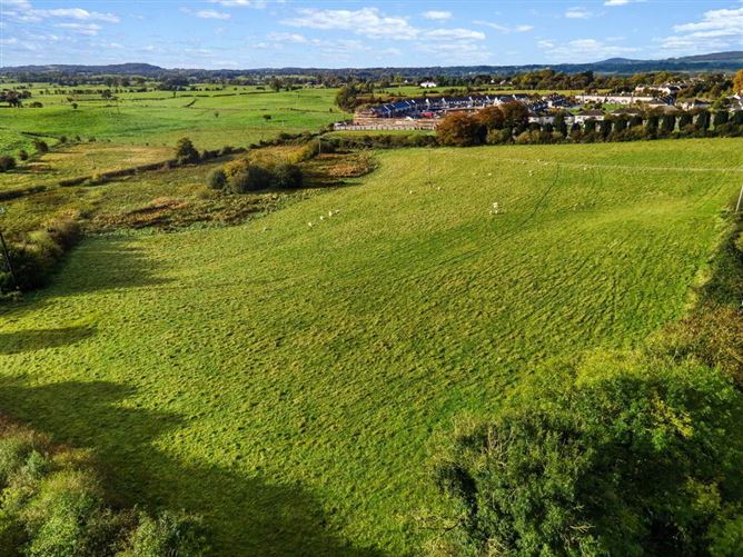 Lands, At Ballineale, Ballineale, Oldcastle, Meath