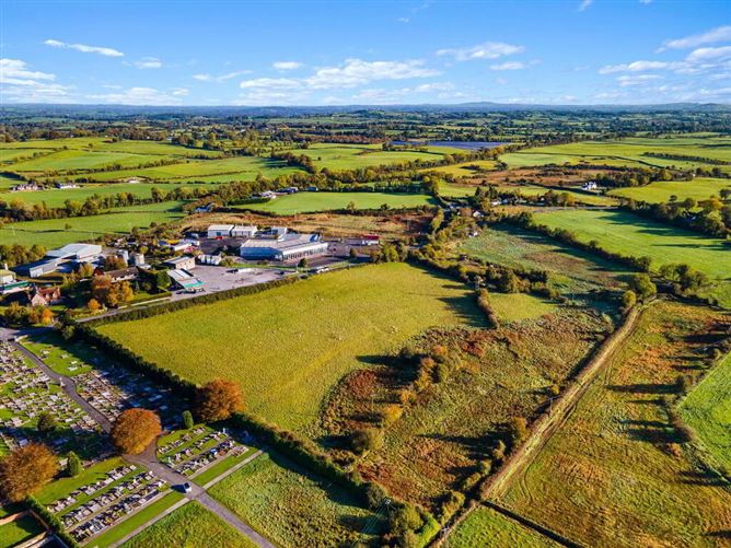 Lands, At Ballineale, Ballineale, Oldcastle, Meath