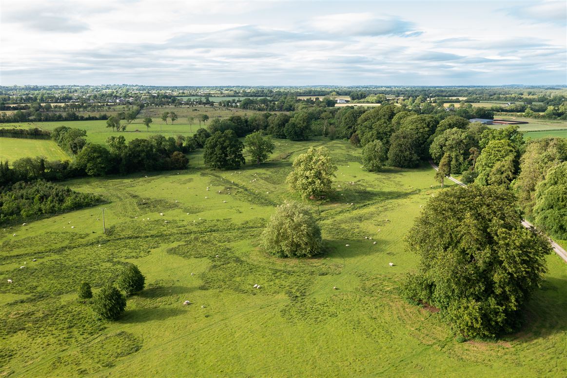 248 Acres (Lot 3), Drummin, Carbury, Kildare