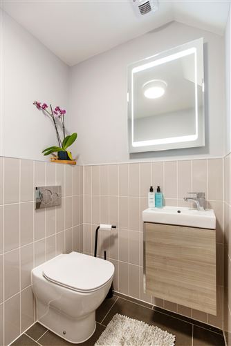 Westminster Wood , Foxrock, Dublin 18