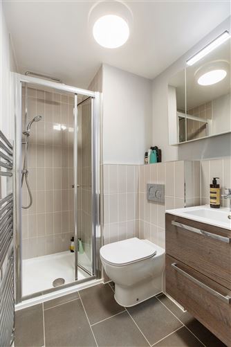 Westminster Wood , Foxrock, Dublin 18