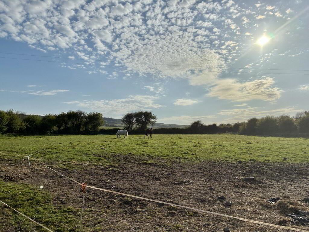 Ballynacourty South, Ring, Dungarvan, Waterford