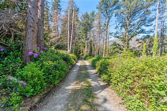 Photo 16 of 19 — Brylands, Inchintaggart, Glengarriff, Co. Cork