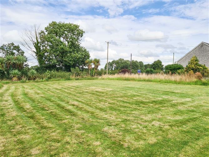 Lisdonowley, Moyne, Thurles, Co. Tipperary