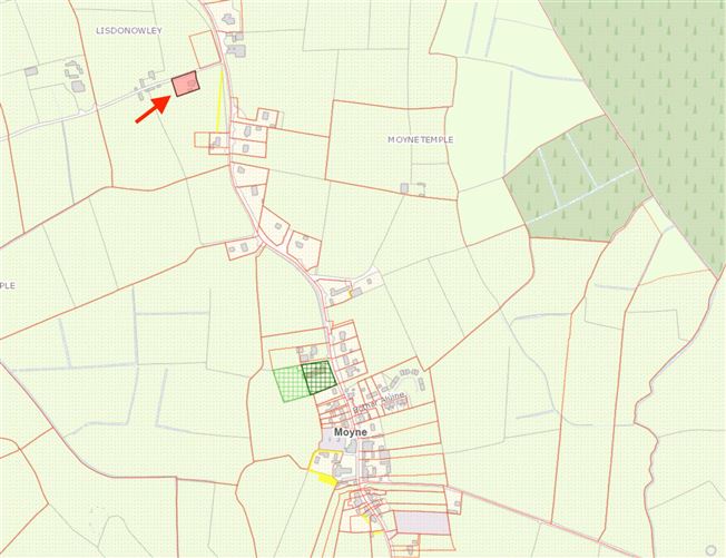 Lisdonowley, Moyne, Thurles, Co. Tipperary