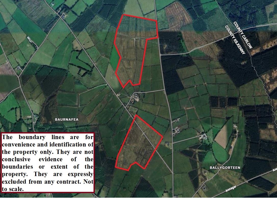 Commercial Forestry Plantation, Baurnafea, Paulstown, Kilkenny