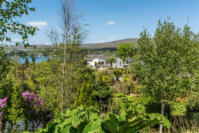 Photo 19 of 53 — Coosheen, Schull,   West Cork