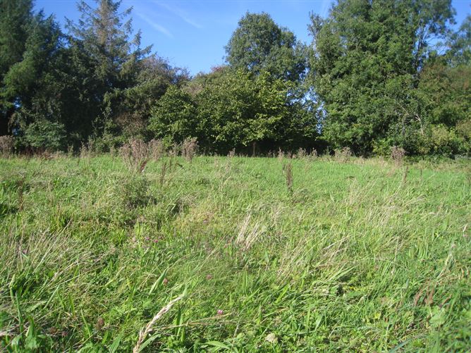 Rathbracken, Granard, Longford
