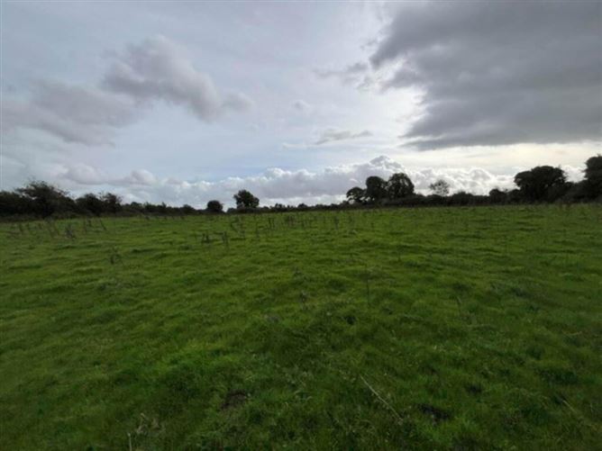 35.3 Acres (, 14.28 Ha) To Let, Gurteenakilla, Newtown, Nenagh, Tipperary