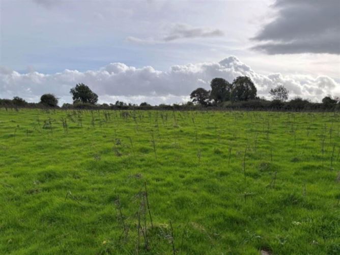 35.3 Acres (, 14.28 Ha) To Let, Gurteenakilla, Newtown, Nenagh, Tipperary